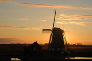 De molen van polder 
